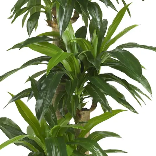 5ft. Corn Stalk Dracaena Silk Plant  {3}