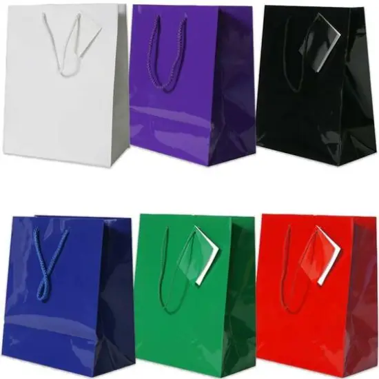 JAM Paper Assorted Glossy Gift Bags with Rope Handles, 6ct. {1}