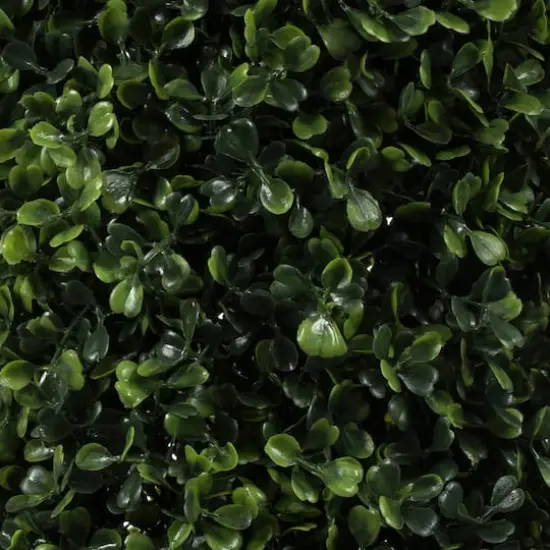 6ft. Potted Boxwood Cone Tree {3}