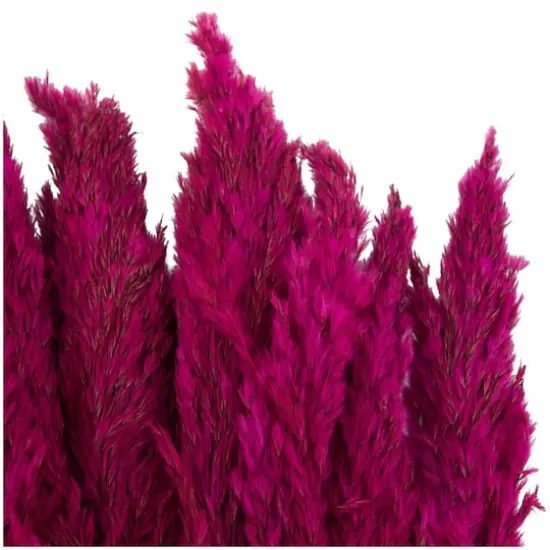 Dried Plant Pampas Natural Foliage with Long Stems Pink {5}