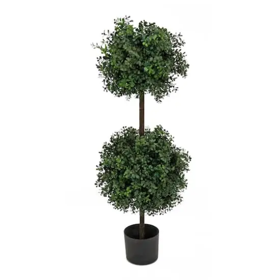 46" Boxwood Double Ball Topiary in Nursery Pot {1}