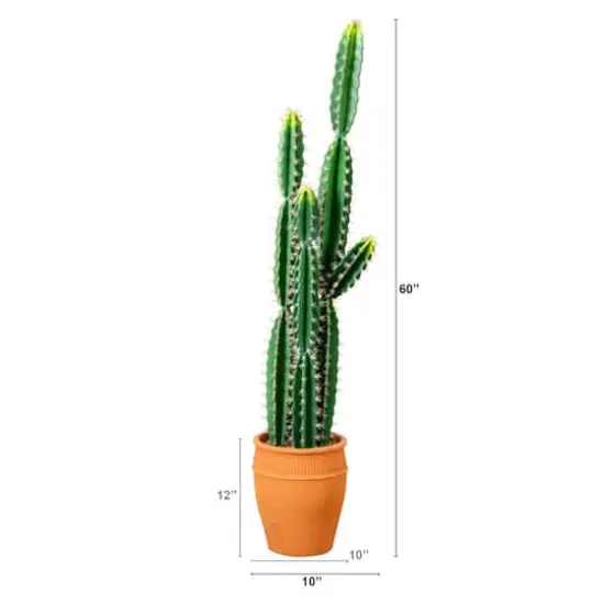 5ft. Cactus in Terracotta Planter {5}