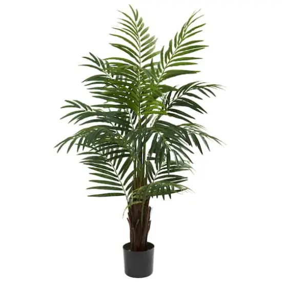 4ft. Potted Areca Palm Tree {1}