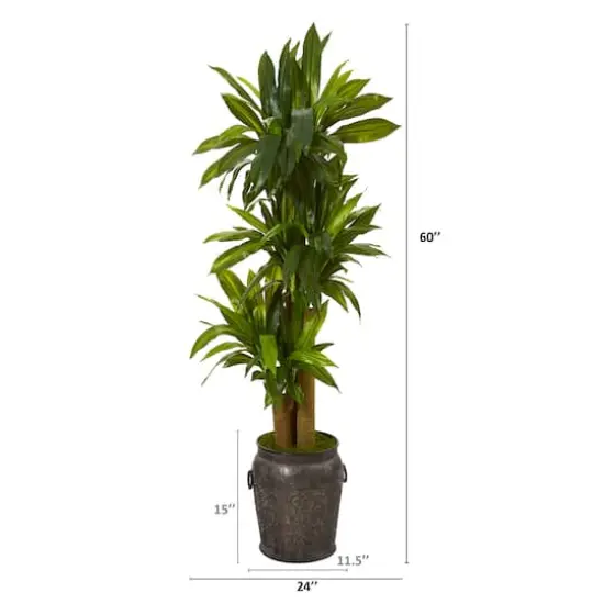 5ft. Corn Stalk Dracaena Plant in Metal Planter {3}