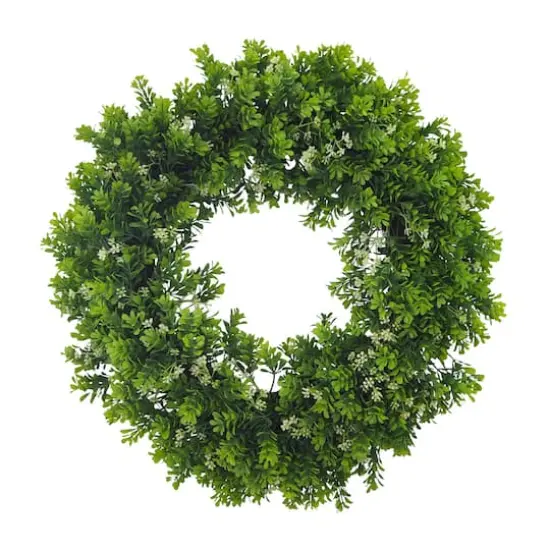 22" Boxwood Wreath by Ashland&reg; {1}