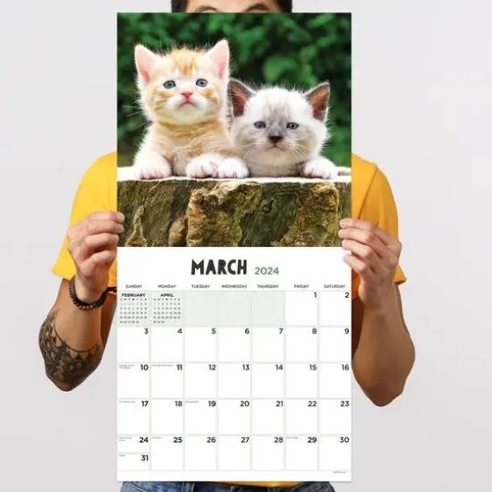 TF Publishing 2024 Kittens Wall Calendar {6}