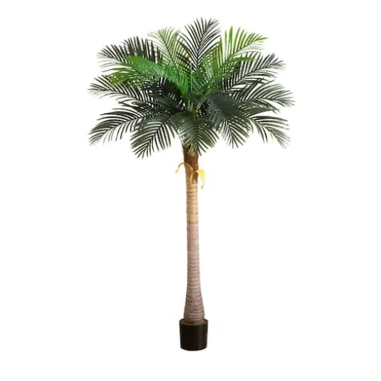 7ft. Potted Coconut Palm Tree {1}