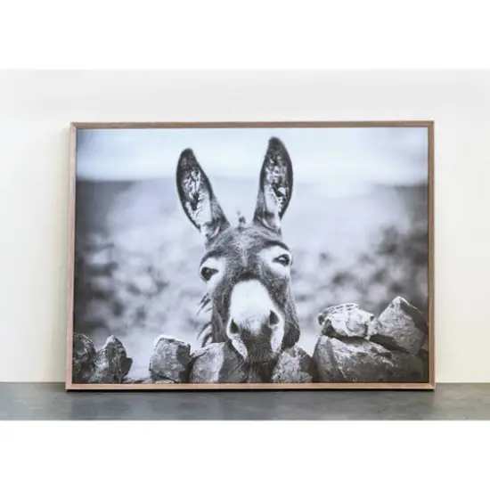 Hello Honey&reg; Black & White Donkey on Canvas Wood Framed Wall D&eacute;cor {6}