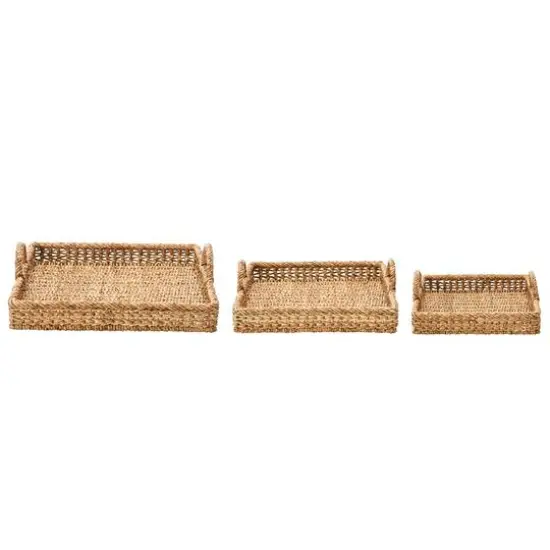 Hello Honey&reg; Decorative Water Hyacinth Tray Set {4}