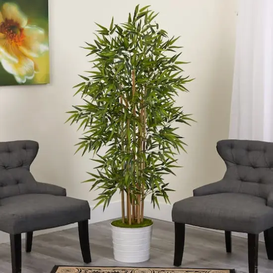 5.3ft. Bamboo Tree in White Tin Planter {3}