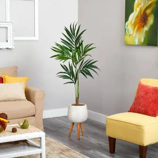 5ft. Kentia Palm Tree in White Planter with Stand {4}