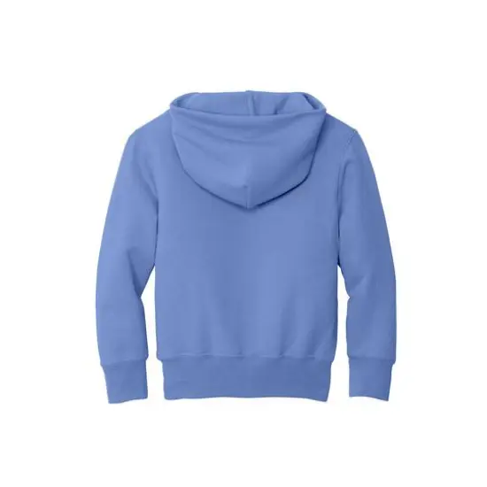 Port & Company&reg; Colors Youth Core Fleece Pullover Hooded Sweatshirt Carolina Blue {4}