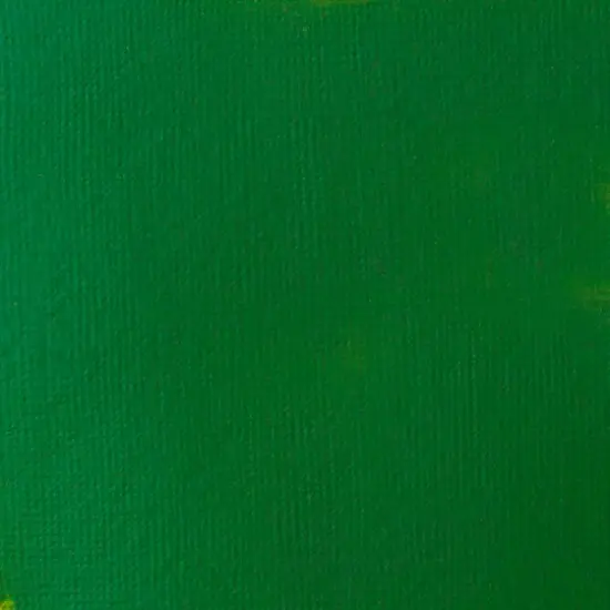Liquitex BASICS&reg; Acrylic Paint, 8.5oz. 224 Hooker's Green Hue Permanent {3}