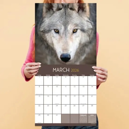 2026 Wolves Wall Calendar {5}