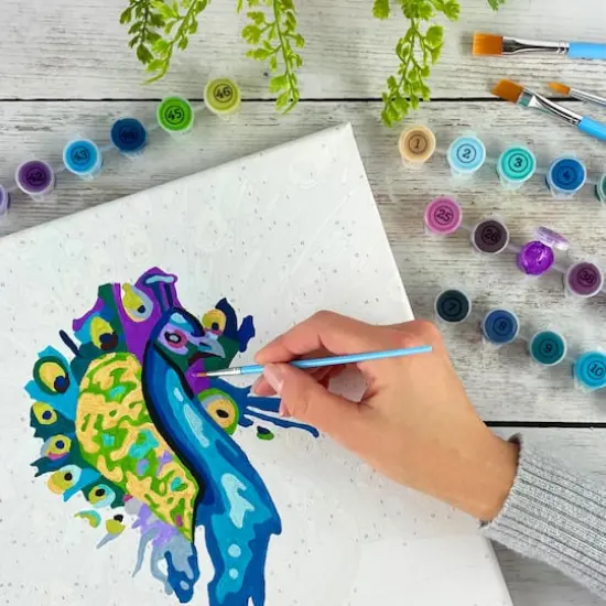ArtSkills&reg; Premium Peacock Paint-by-Number Kit {6}