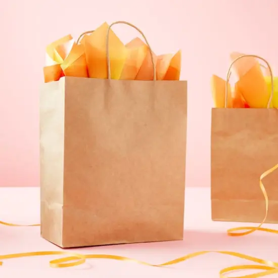 Medium Brown Paper Bags By Celebrate It&trade; {3}