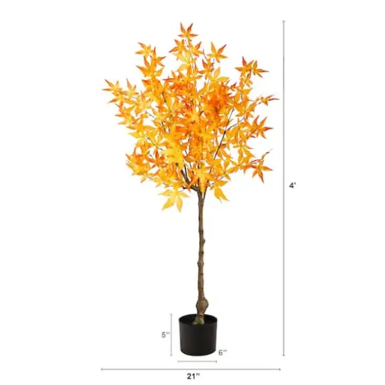 4ft. Potted Yellow Autumn Maple Tree {4}