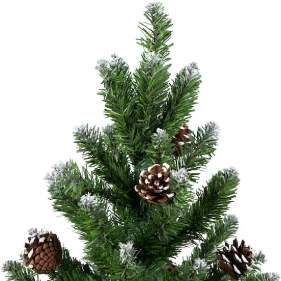 24" Unlit Frosted Norway Pine with Pinecones Medium Artificial Christmas Tree {5}