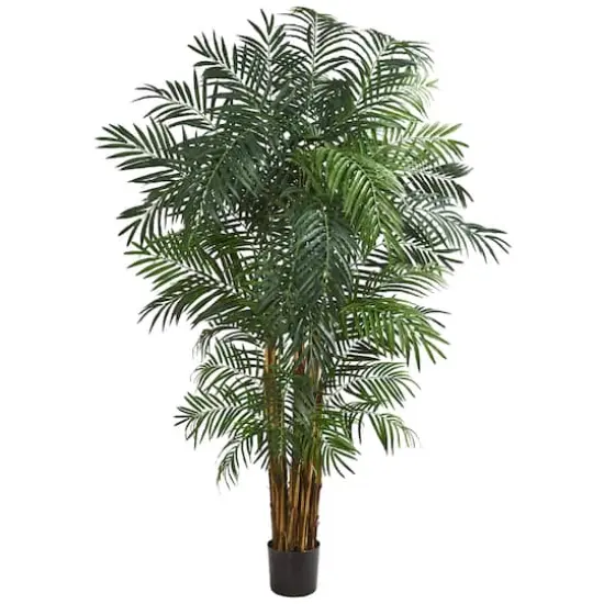 7ft. Potted Areca Palm Tree  {1}