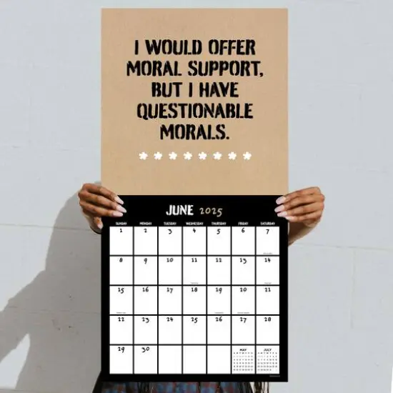 TF Publishing 2025 Anti-Affirmations Wall Calendar {6}