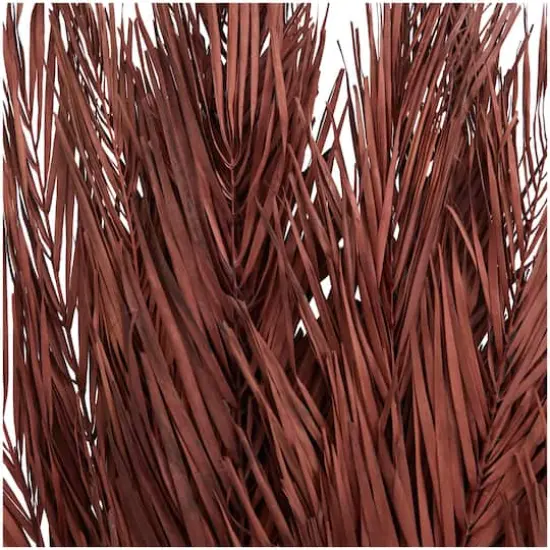 43" Natural Dried Plant Palm Leaf Bunch with Feather-Inspired Stems Dark Brown {5}
