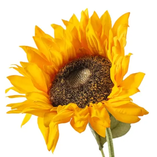 Gold Sunflower Stem by Ashland&reg; {5}