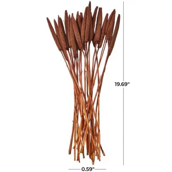 Dried Plant Bunny Tail Natural Foliage with Long Stems Dark Brown {6}