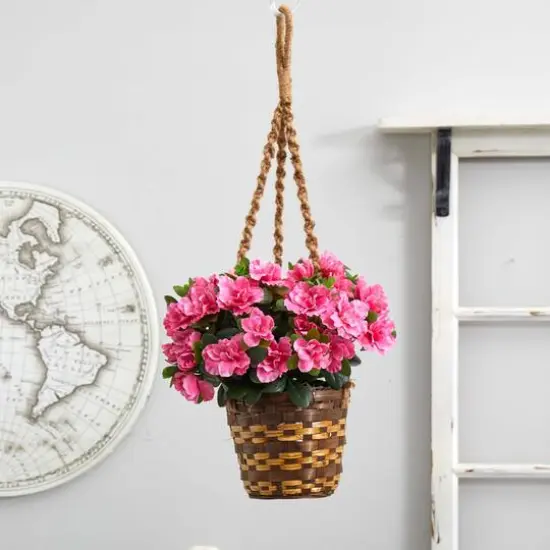 2.5ft. Pink Azalea Flowering Hanging Basket {6}