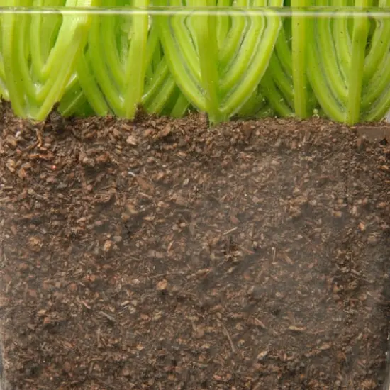 3-Piece Square Sprout-Filled Glass Assortment {5}