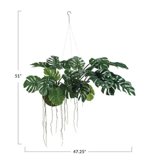 Hello Honey&reg; 51" Lush Green Hanging Monstera Kokedama {5}