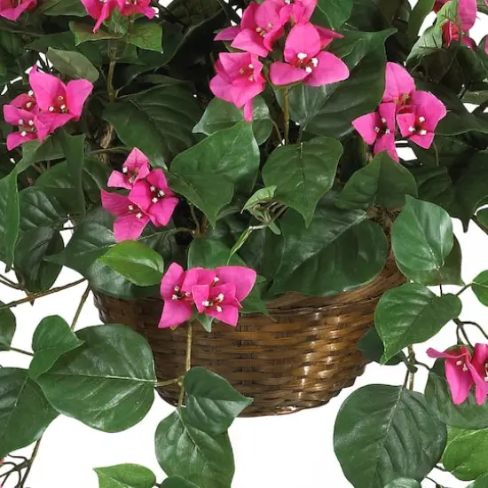24" Pink Bougainvillea Hanging Basket {7}