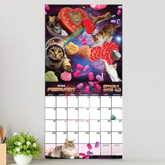 2026 Space Cats Wall Calendar {4}