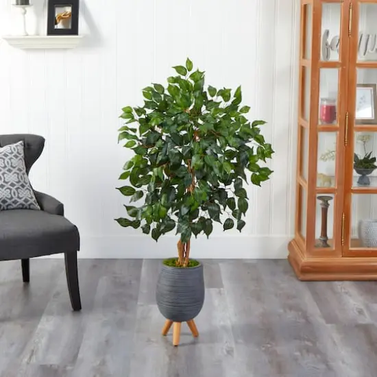 4ft. Ficus Tree in Gray Planter with Stand {4}