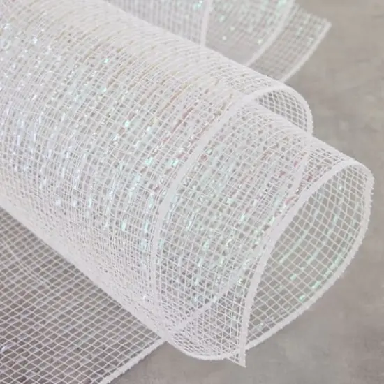 Celebrate It&reg; Occasions&trade; Mesh Ribbon, 21" Iridescent {3}