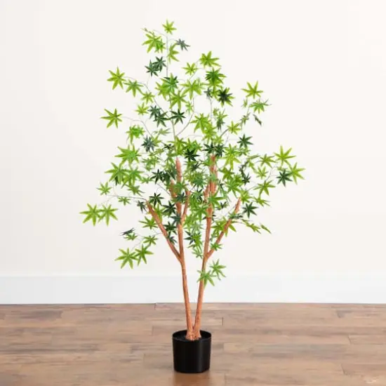 4ft. Potted Maple Tree {4}