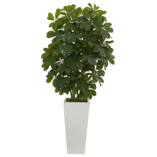 3ft. Umbrella Tree in White Vase {1}