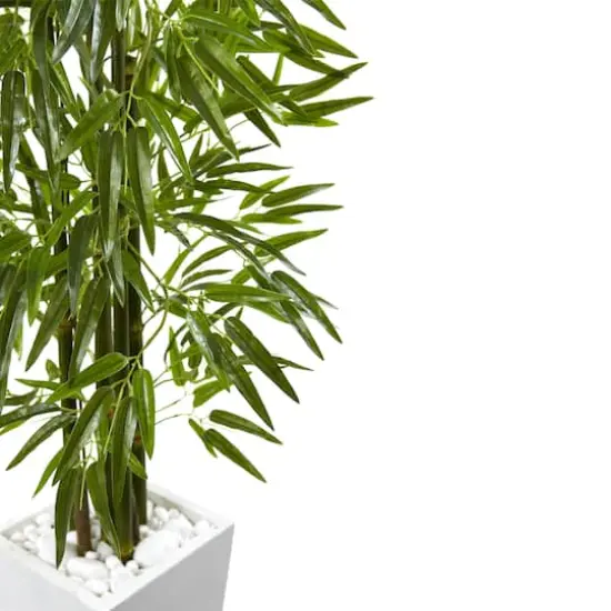 5ft. UV Resistant Bamboo Tree in White Planter {4}