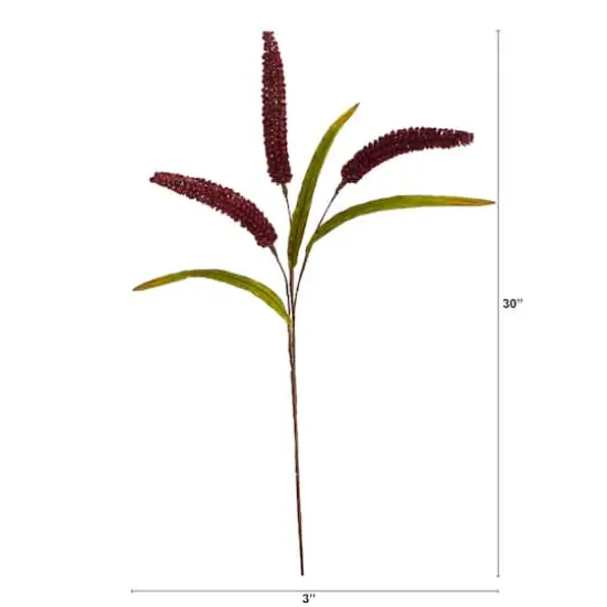 30" Burgundy Sorghum Harvest Spray, 12ct. {3}