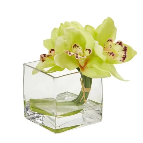8" Boat Orchid Arrangement in Glass Vase, 2ct. Green {3}
