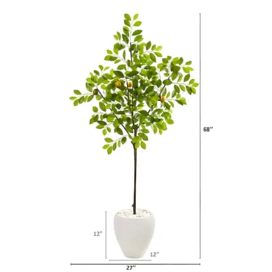 5.5ft. Lemon Tree in White Planter {3}