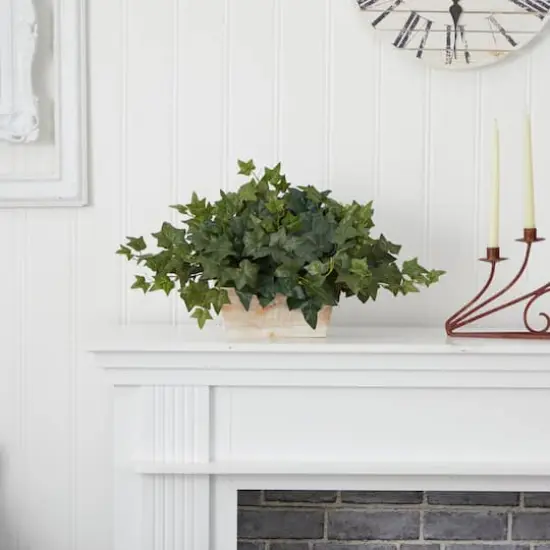 14" Ivy in White Planter {4}