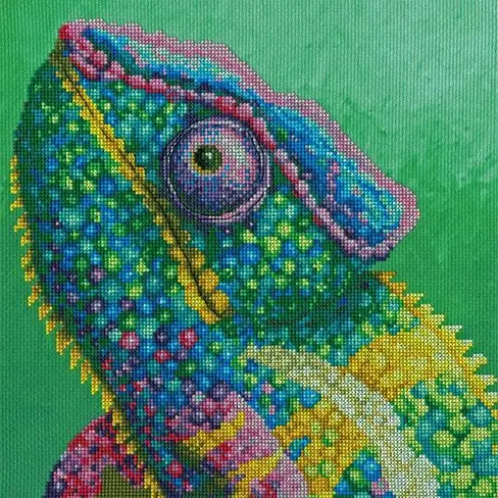 Bothy Threads Illusion Counted Cross Stitch Kit {1}