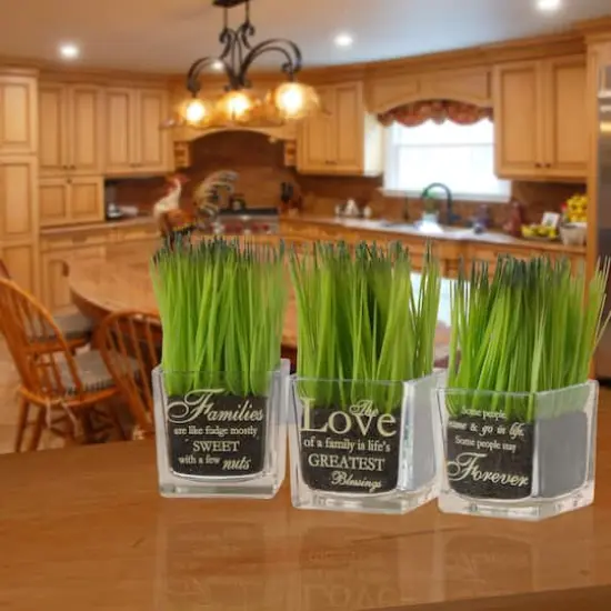 3-Piece Square Sprout-Filled Glass Assortment {3}