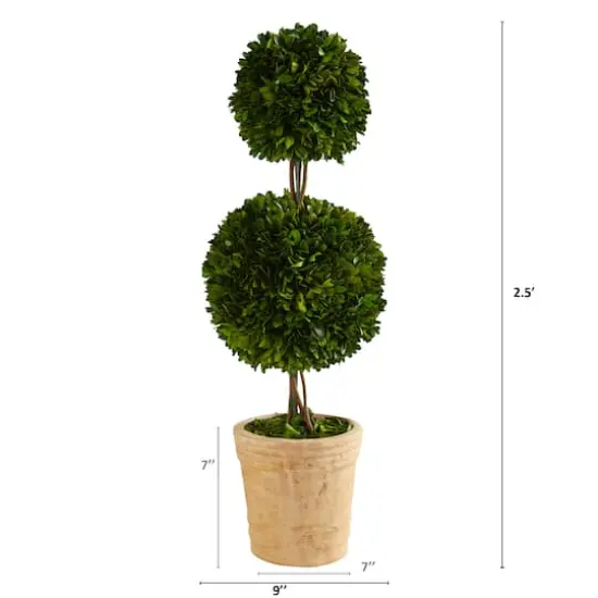 2.5ft. Boxwood Double Ball Topiary Tree in Cream Planter {3}