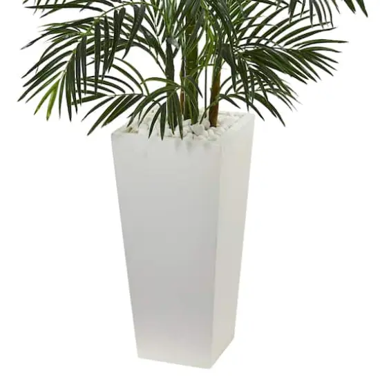 5ft. Areca Palm Tree in White Planter {4}