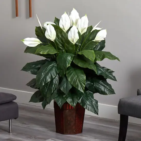 4ft. Peace Lily Plant in Wood Vase {3}