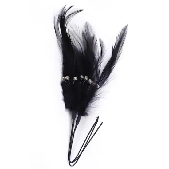 JAM Paper Feather Accessory, 3ct. Black {1}