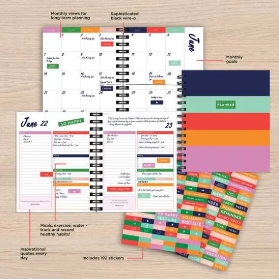 Striped Daily Monthly Luxe Planner {8}