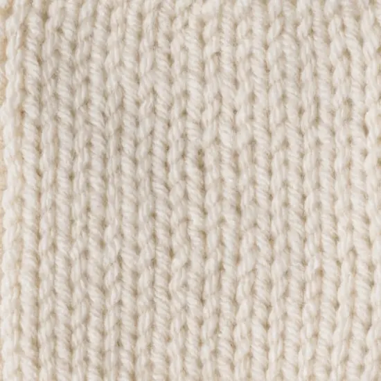 Caron&reg; One Pound&trade; Yarn Off White {5}