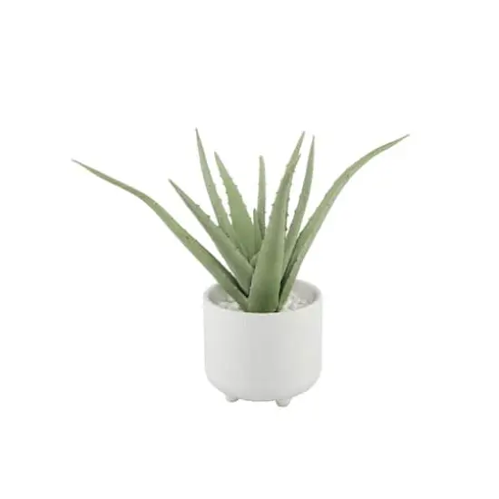 Flora Bunda&reg; 10" Aloe In 5" Barcode Footed Ceramic Pot {1}